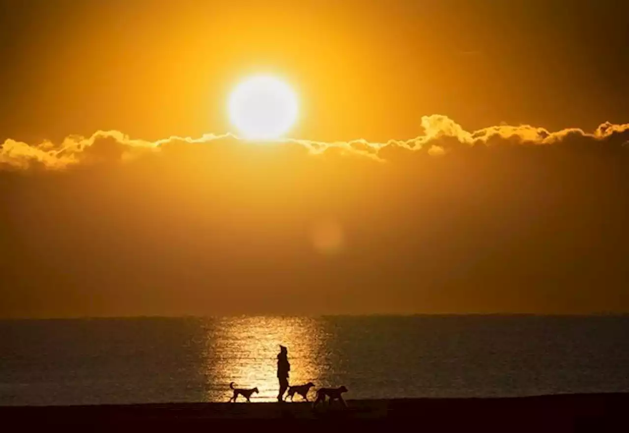 Hot summer temperatures, big storms to sweep much of Canada, Weather Network predicts | National Newswatch