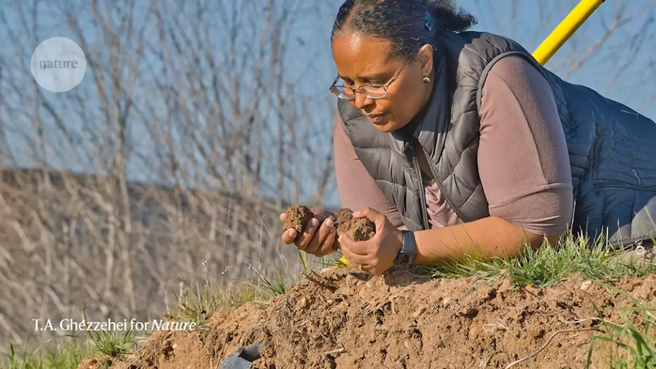 A down-to-earth approach to climate change