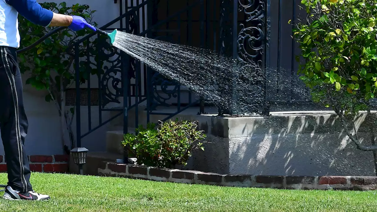 LADWP Water Restrictions Begin Tomorrow. Here's What to Know