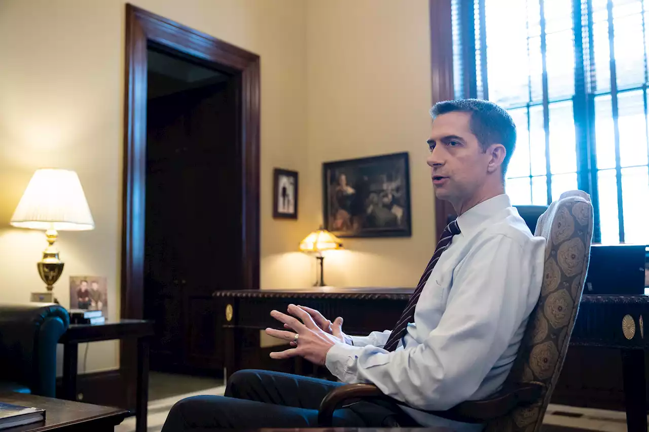 Tom Cotton's rigid conservatism