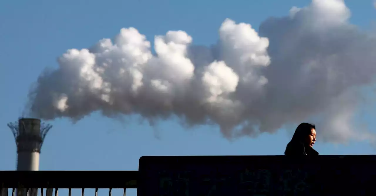 China vows new financial tools to support drive to carbon neutrality