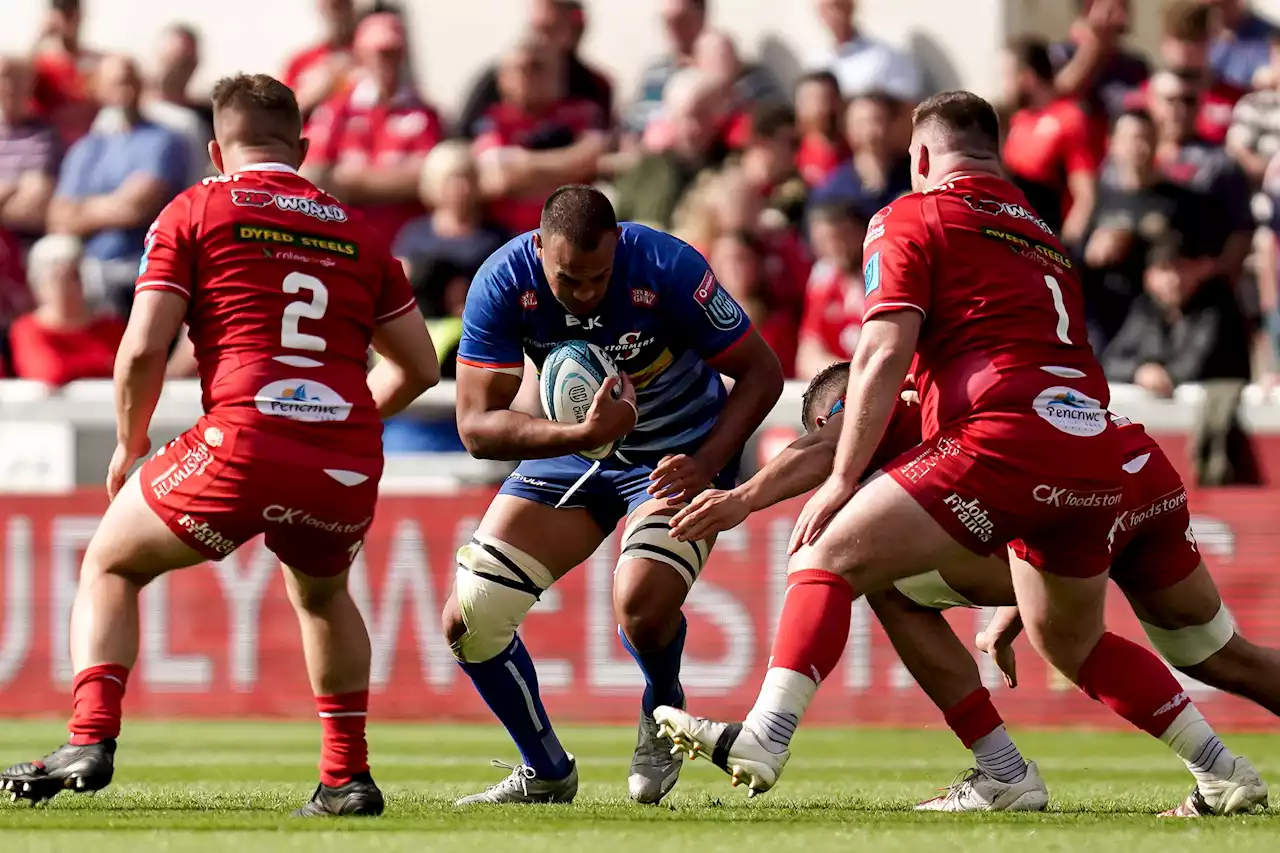 Stormers star done watching from sidelines