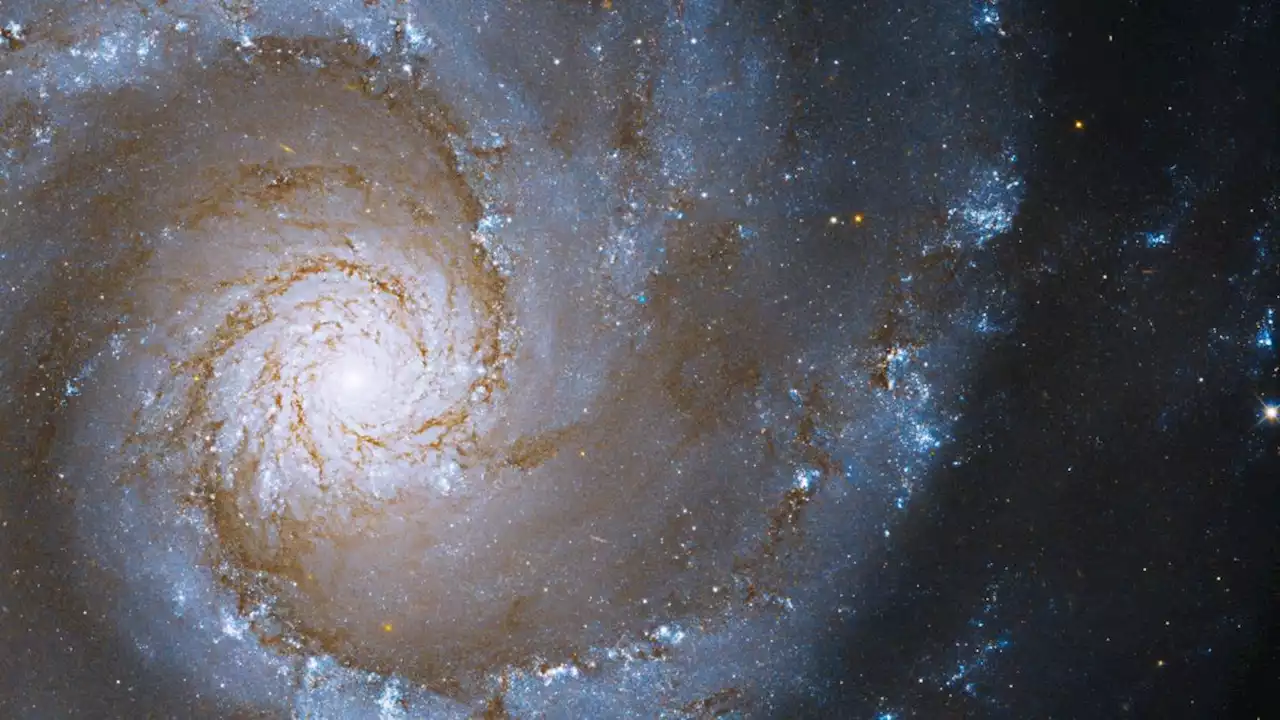 Spectacular Hubble image captures 'grand spiral' galaxy