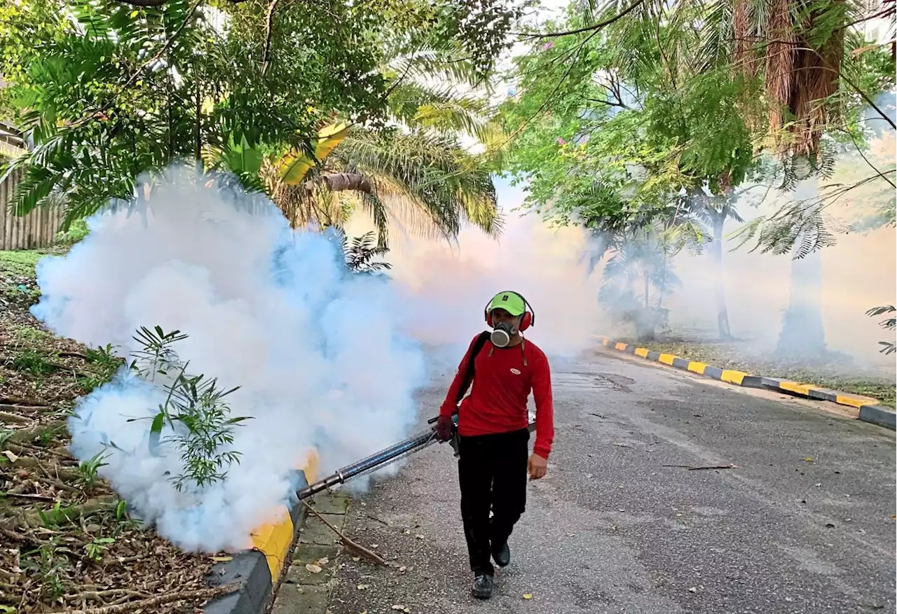 PJ records 136% spike in dengue cases in third week of May