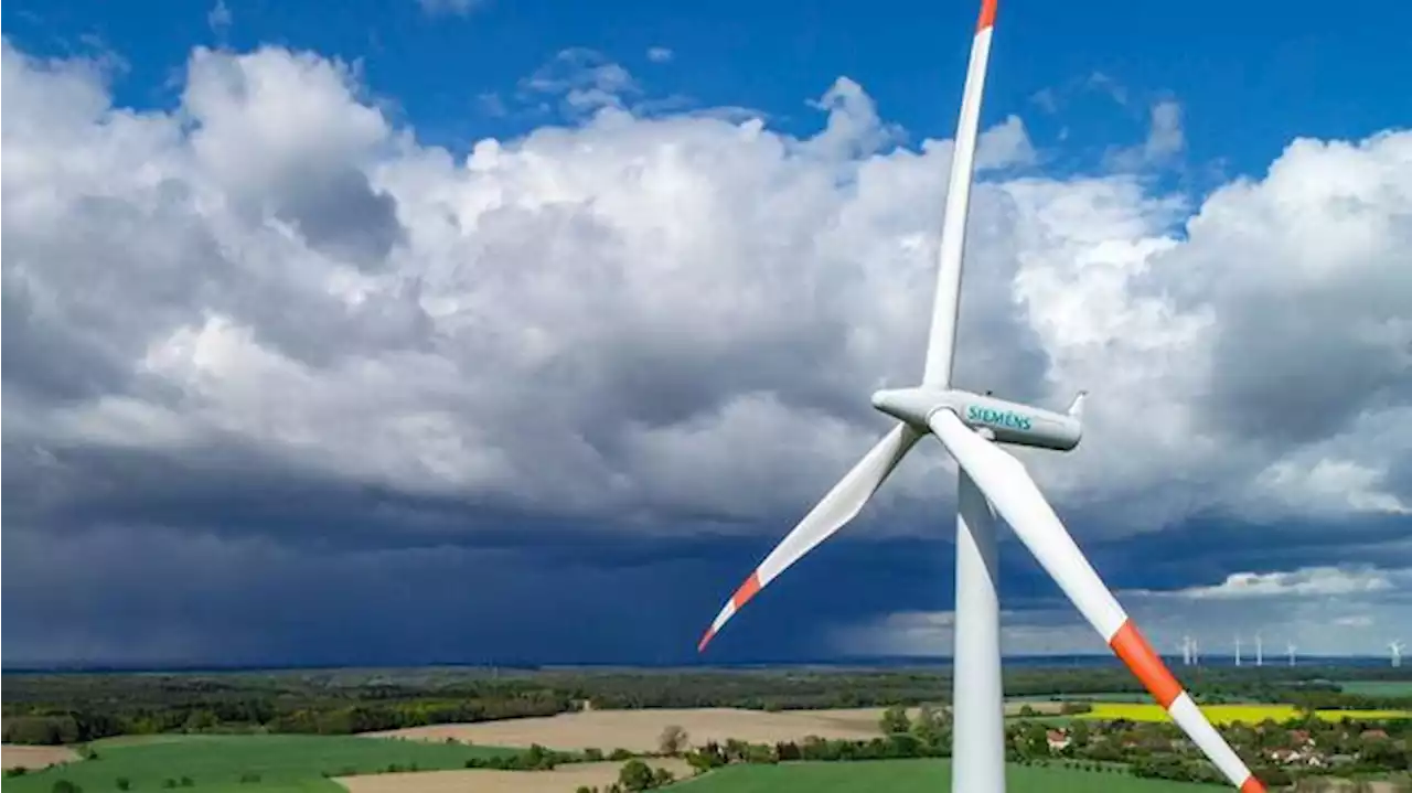 Senat prüft Errichtung von Windrädern auch in Berliner Wäldern