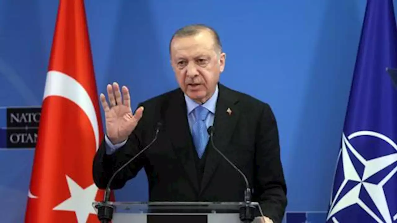 Erdogan vows Türkiye won't 'change position' over NATO's Nordic expansion