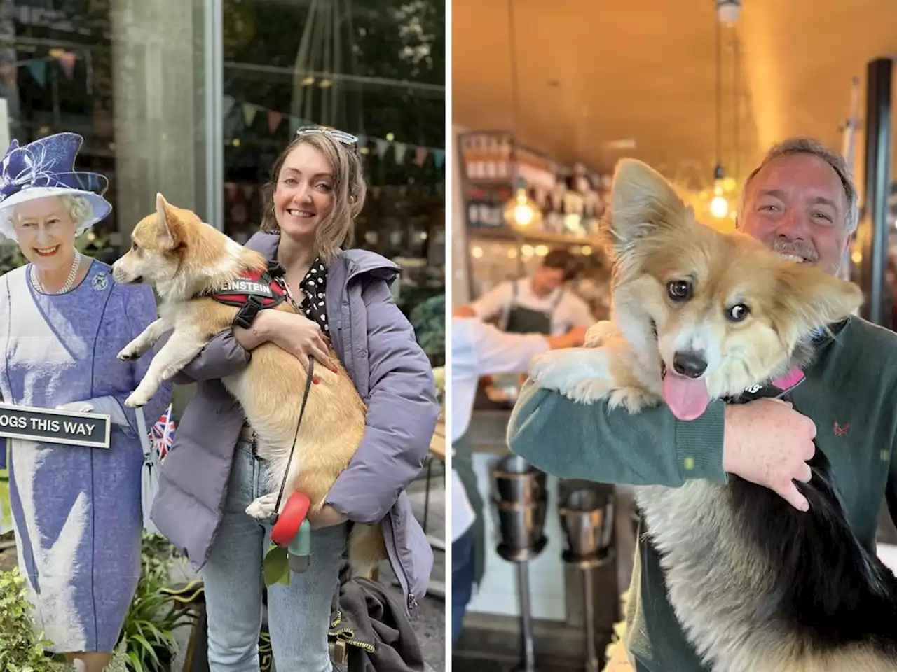 Corgis play a starring role in Queen Elizabeth II's Platinum Jubilee celebrations