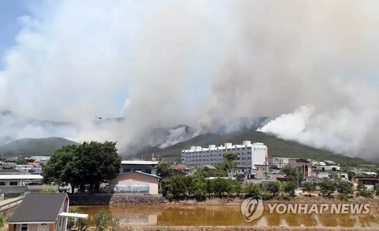 '바람 타고 불씨 날아다녀'…바짝 마른 밀양 '산불3단계' 비상(종합) | 연합뉴스