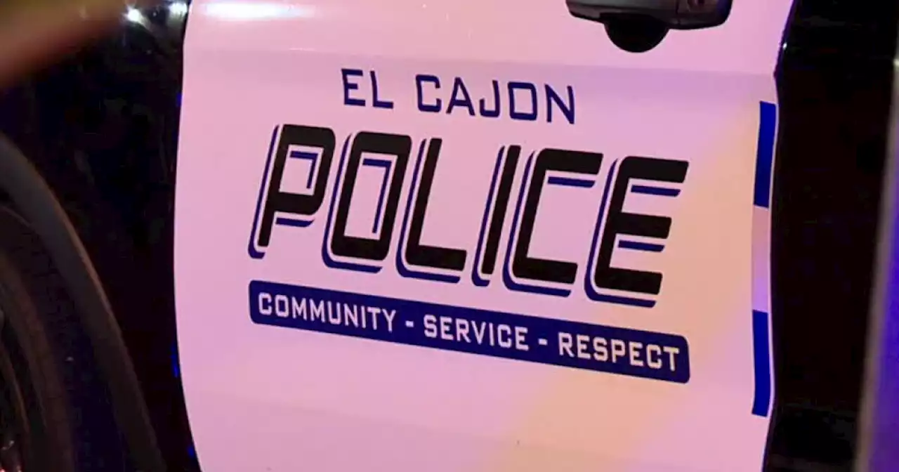 Probationer suspected in spree of El Cajon thefts arrested