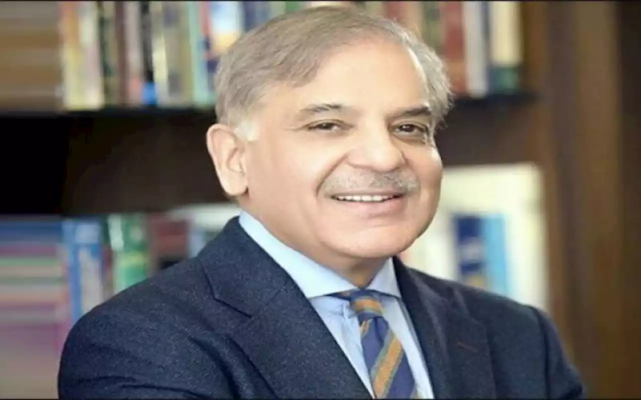 عمران نیازی کی وجہ سے جمہوریت بدنام ہوئی۔وزیراعظم