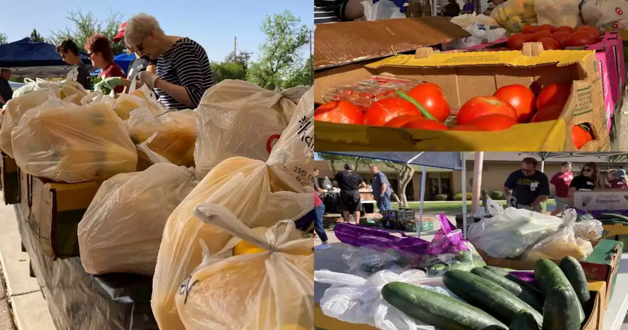 Buy up to 70 pounds of fresh produce for $15 in Arizona