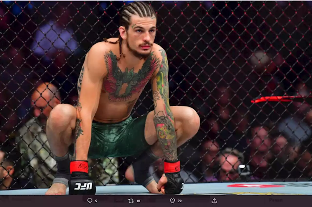 Dua Bulan Lagi, Sean O'Malley Akhirnya Diadu dengan Jagoan Top 10 UFC - Bolasport.com