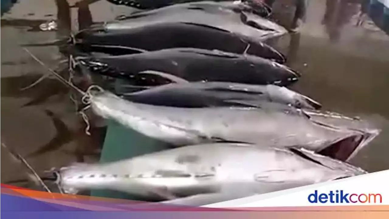 AS Ternyata Doyan Tuna hingga Udang RI, Ini Buktinya