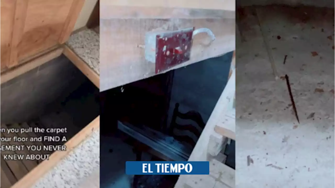 Insólito: usuaria de TikTok halló un sótano en su casa por casualidad