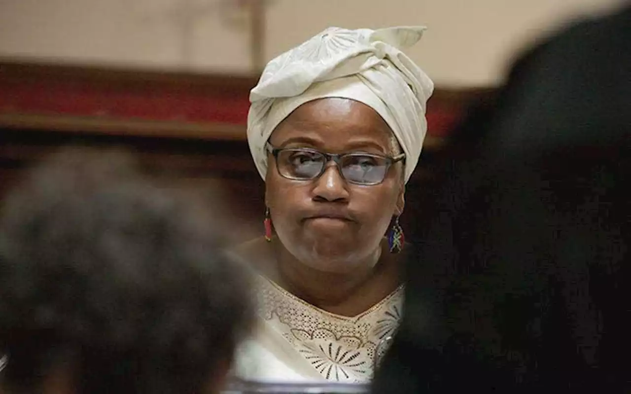 Myeni bid to avoid charges for revealing identity of witness failed, court told