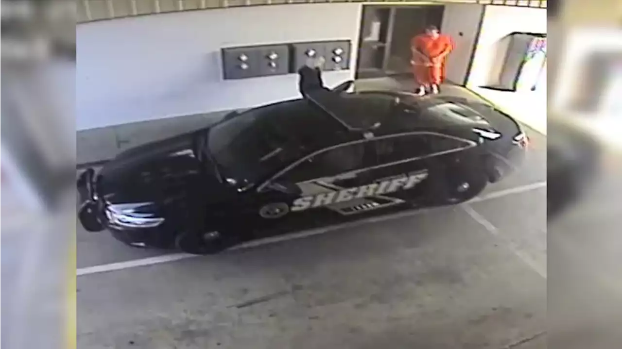 Lauderdale County Sheriff’s Office releases new video of Vicky, Casey White