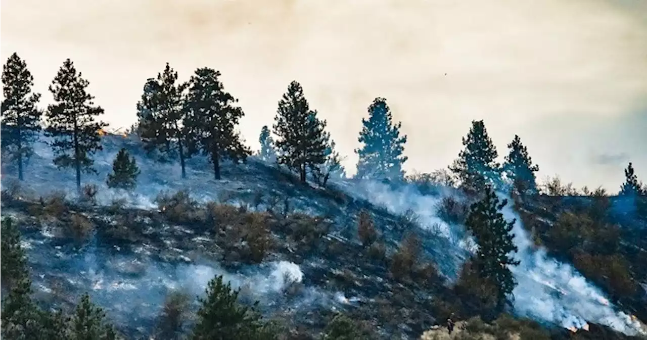 36 wildfires so far this year in Kamloops Fire Centre, up slightly from 10-year average of 27 - Okanagan | Globalnews.ca