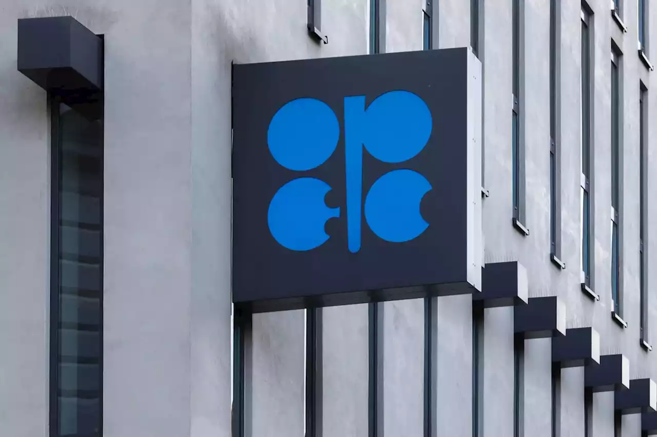 OPEC+ sees bigger 2022 surplus amid slower demand growth: report