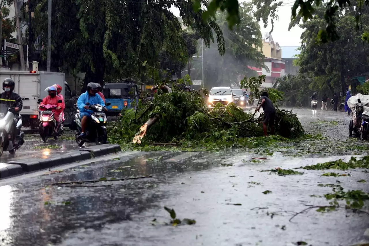 Prediksi Cuaca Hari Ini, Hujan Lebat Disertai Angin Kencang, Wapada!