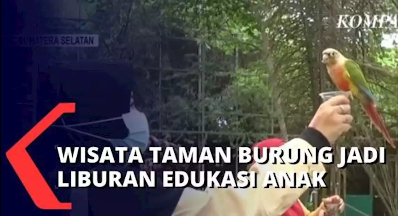 Liburan Sambil Belajar, Taman Burung Jadi Wisata Pilihan Orang Tua untuk Edukasi Anak