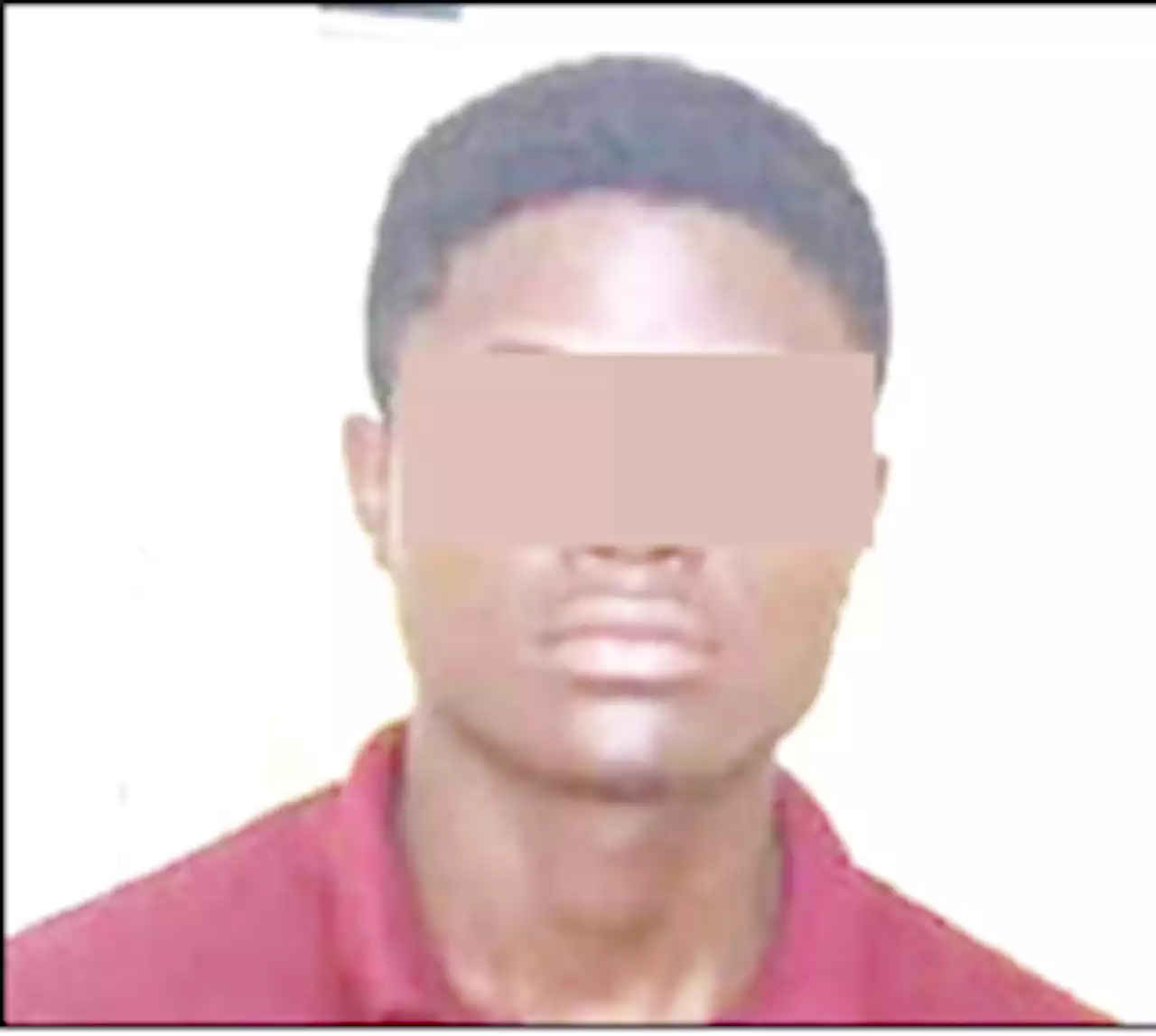 Guard bolts with Lagos resident’s dog after collecting first salary