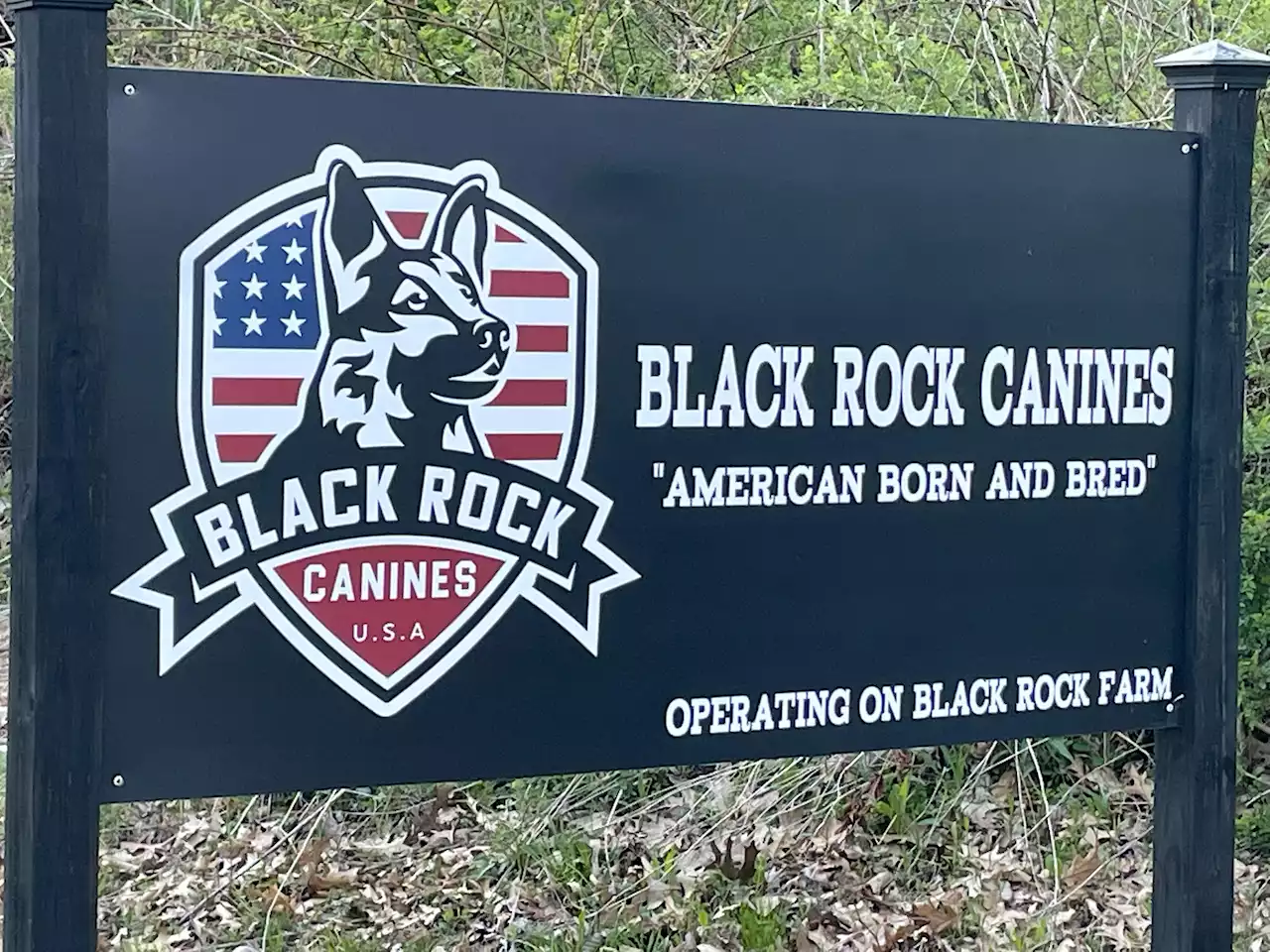 Multiple People Accused of Abusing, Killing At Least 10 Dogs at Black Rock Canines in Conn.