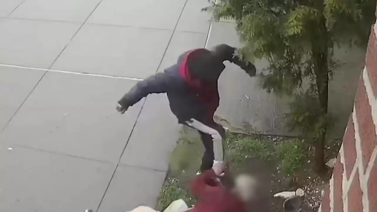 Video Shows 77-Year-Old Man Get Punched and Kicked in Face on NYC Sidewalk