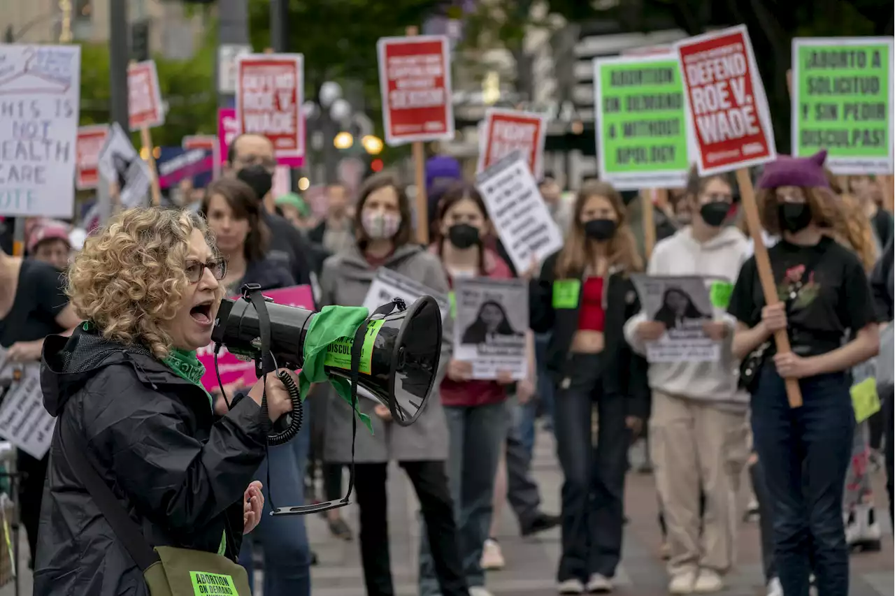 'Mother's Day strike' proposed as women protest overturning of Roe v. Wade