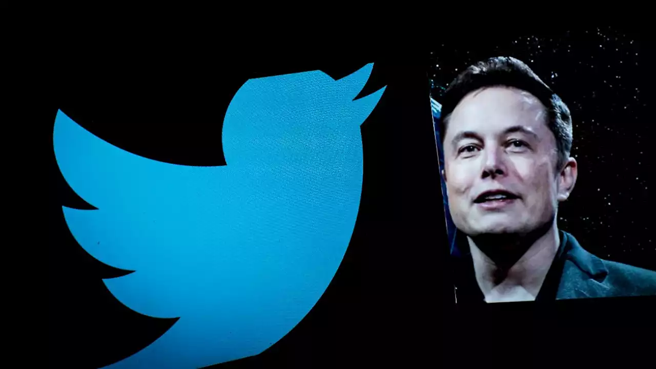 Elon Musk erwägt Gebühren für Twitter