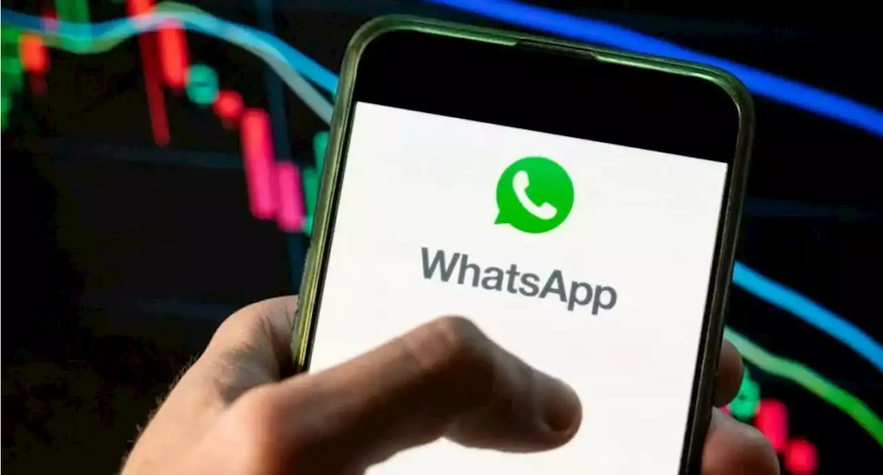 Anuncian cambio en WhatsApp que será evidente en 'chats'; cuidado con los estados - Pulzo