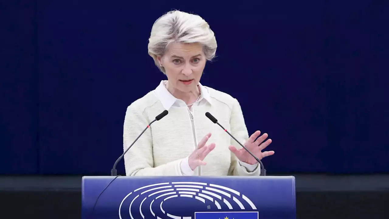 Ue, Von der Leyen: embargo al petrolio russo entro 6 mesi