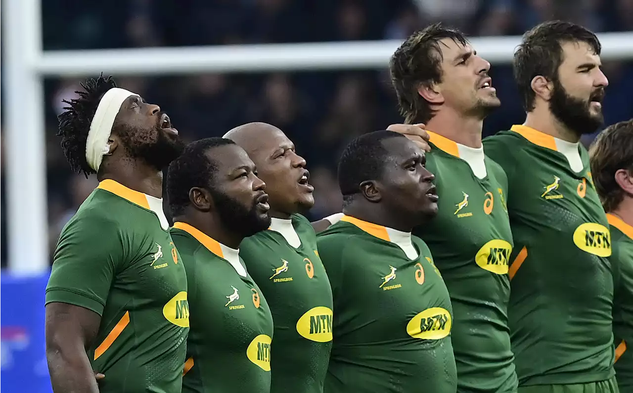 Kiwi scribe: Boks have 'golden chance' in 2022