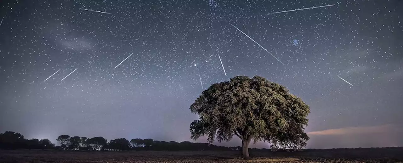 The Eta Aquariid Meteor Shower Is About to Light Up The Skies, Here's How to See It