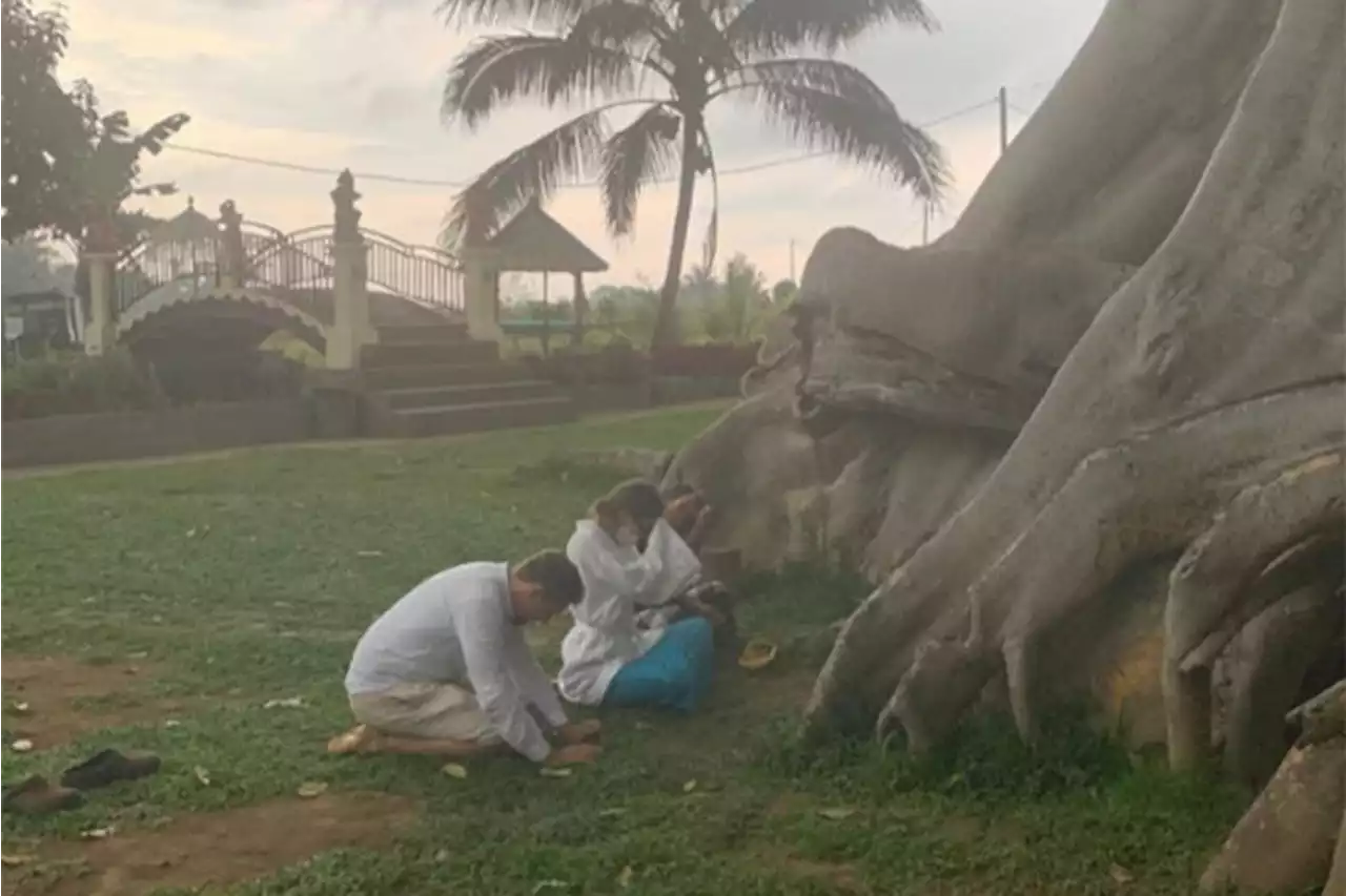 Bule yang Foto Telanjang di Pohon Keramat di Bali Minta Maaf: Saya Sangat Malu