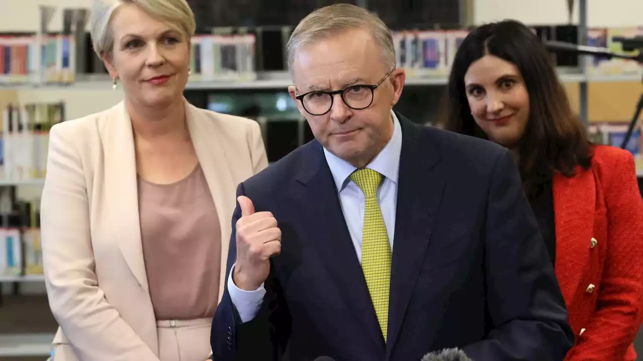 ‘You only get one’: Albanese restricts reporters' questions