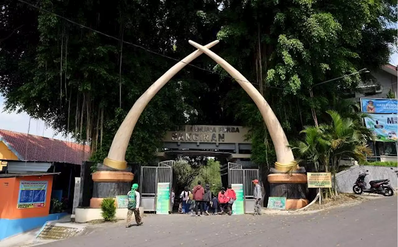 Liburan, Yuk Wisata ke Museum Purba Sangiran Sragen