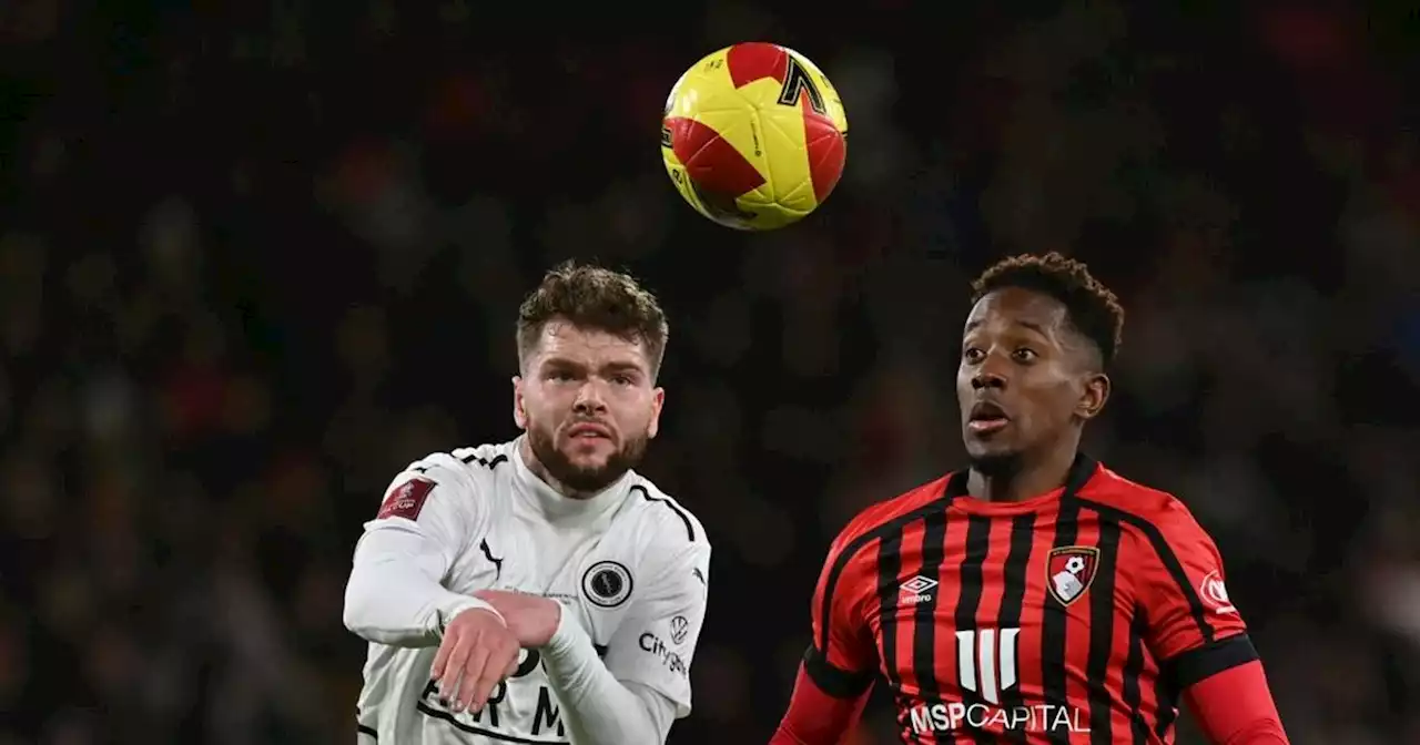 Bournemouth zurück in der Premier League