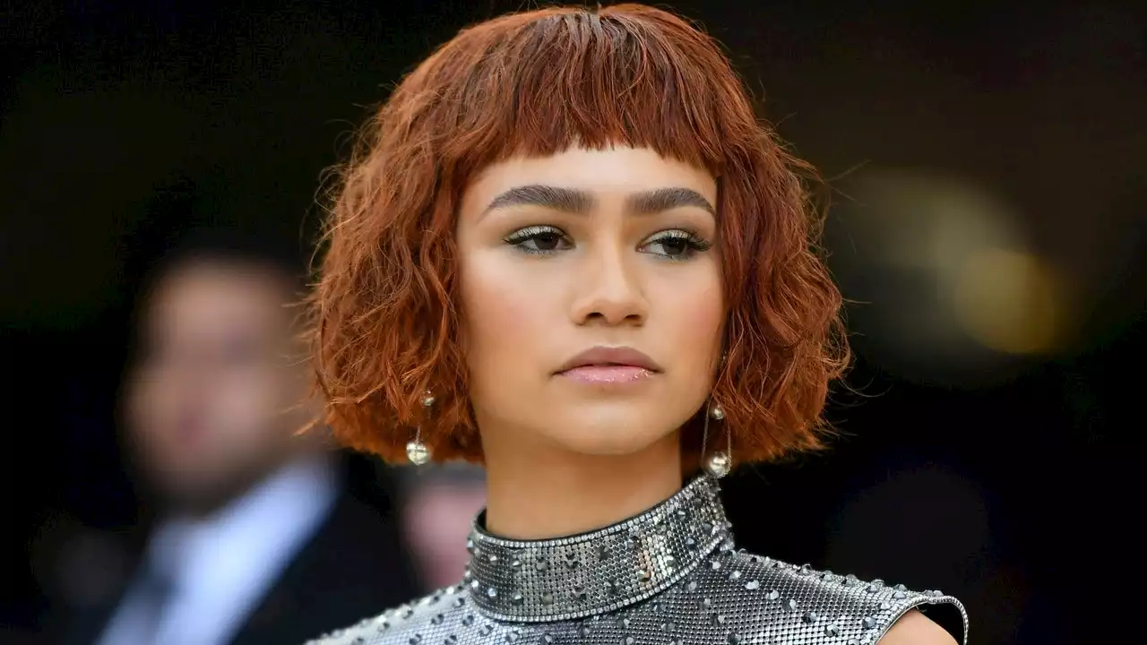 Why Didn't Zendaya, Dua Lipa, and More Celebs Attend Met Gala 2022?