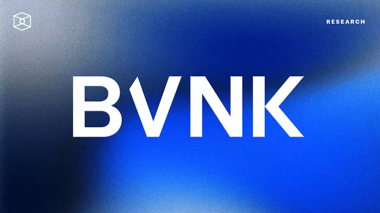 BVNK Company Intelligence