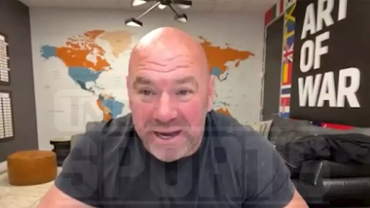 Dana White Shoots Down Ngannou vs. Fury Boxing Match, 'Silly Conversation!'