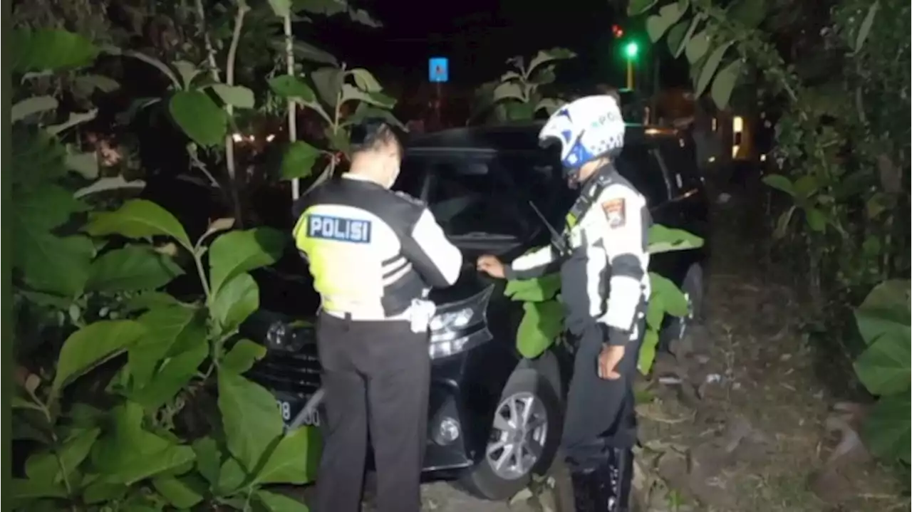 Sopir Meninggal Karena Serangan Jantung, Mobil Pemudik Masuk Kebun Jati