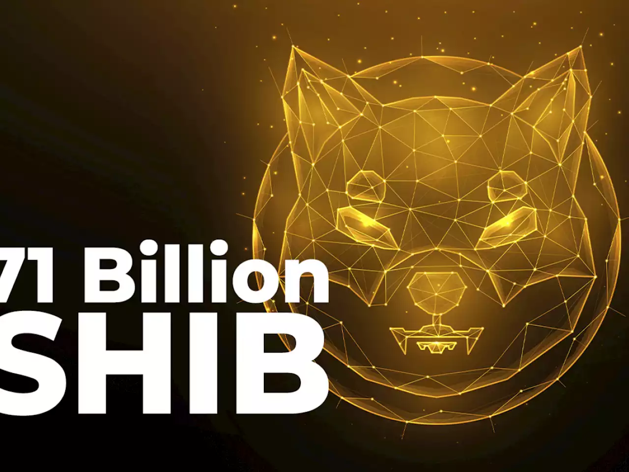 71 Billion SHIB Added by Major Investor as SHIB Returns as Whales' Biggest Holding