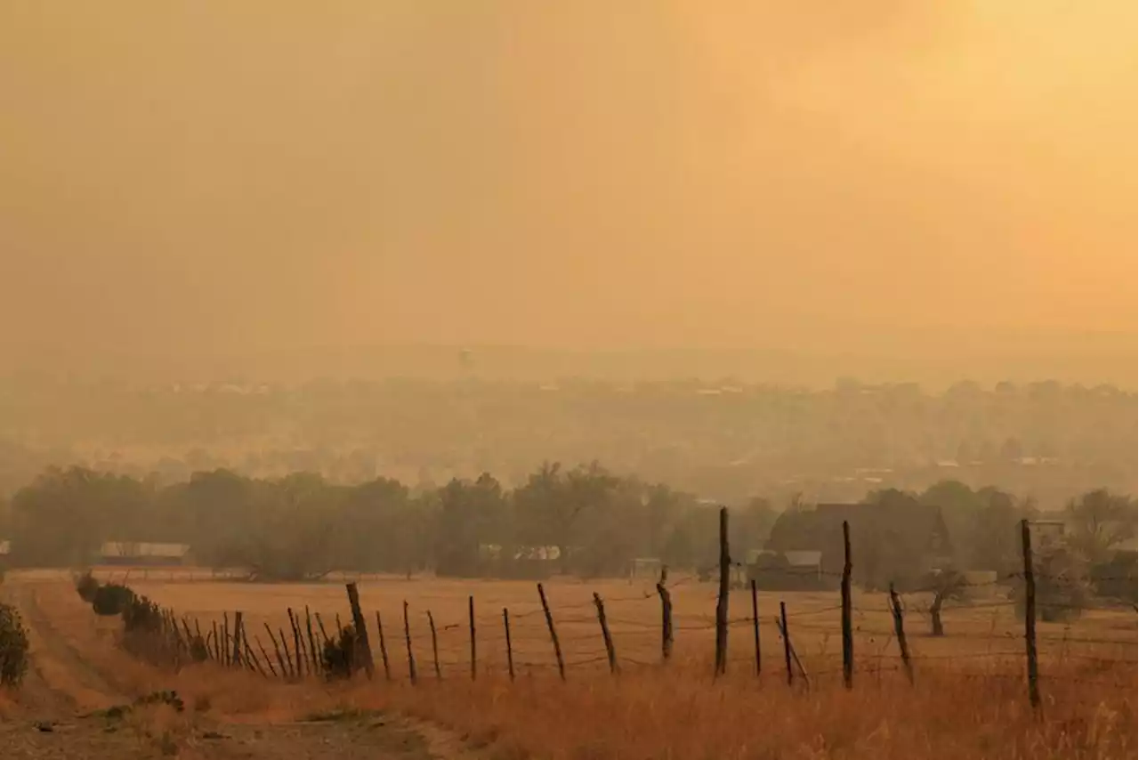 Resilience, anger as New Mexico wildfire burns 'sacred land'