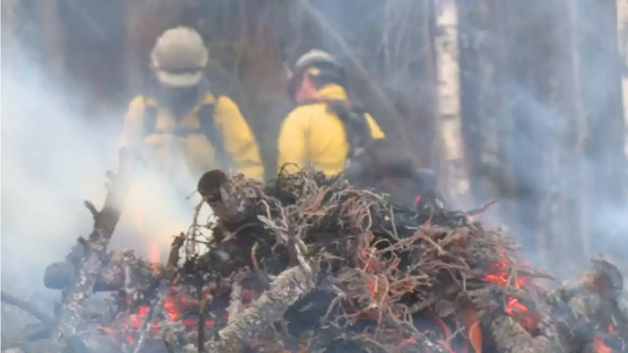 Alaska fire crews create vital fuel breaks to prepare for worst-case scenario