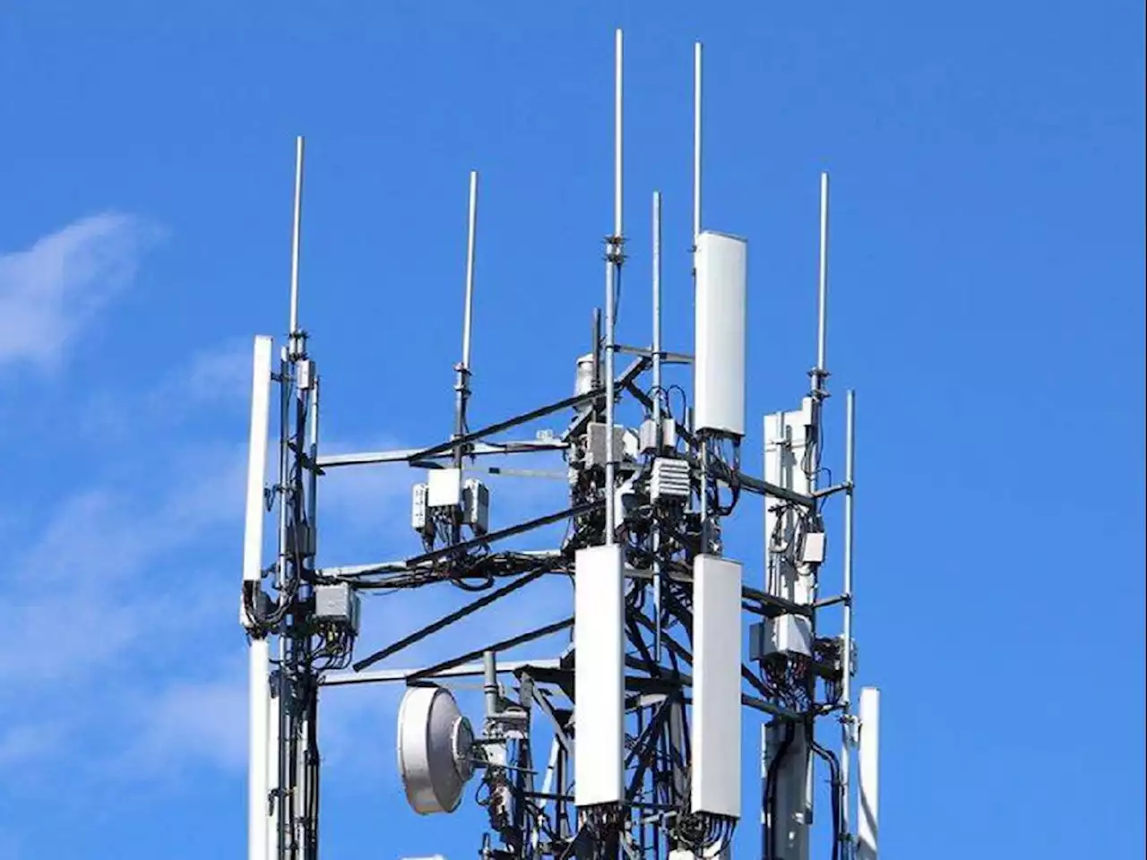 Government must tell Canadians if it's tracking their data, let them opt out: ethics committee