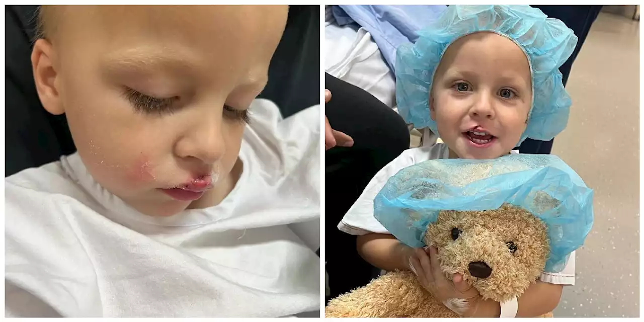 Mum shares 'heartbreaking' warning to parents with dogs