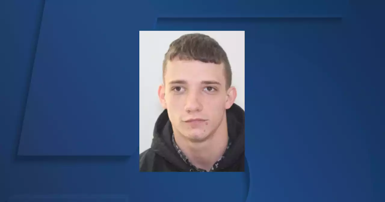 Parma police search for missing 24-year-old man