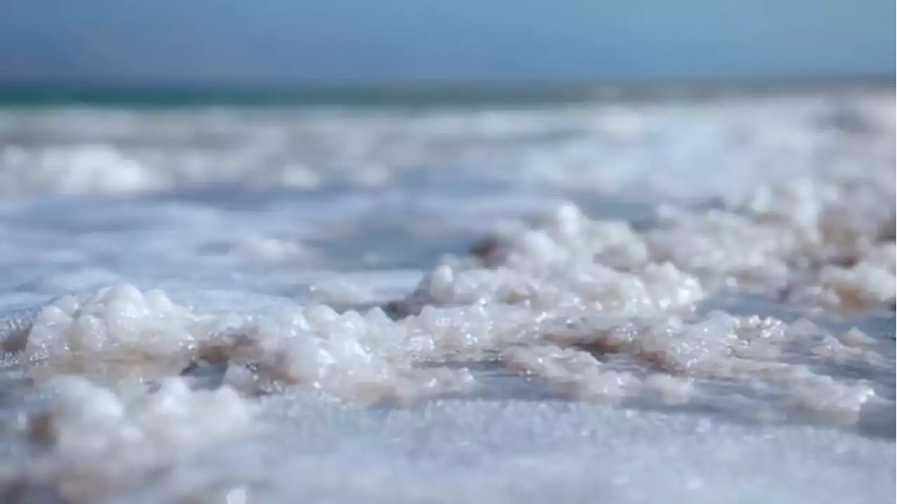 Sea foam floating in St. Johns River: Should we be concerned?