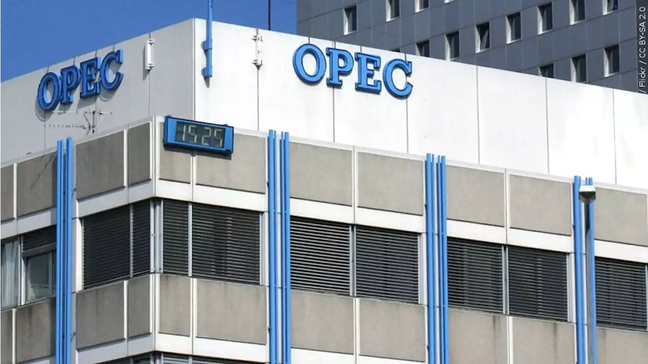 OPEC+ opens oil taps gradually as Russian war roils markets