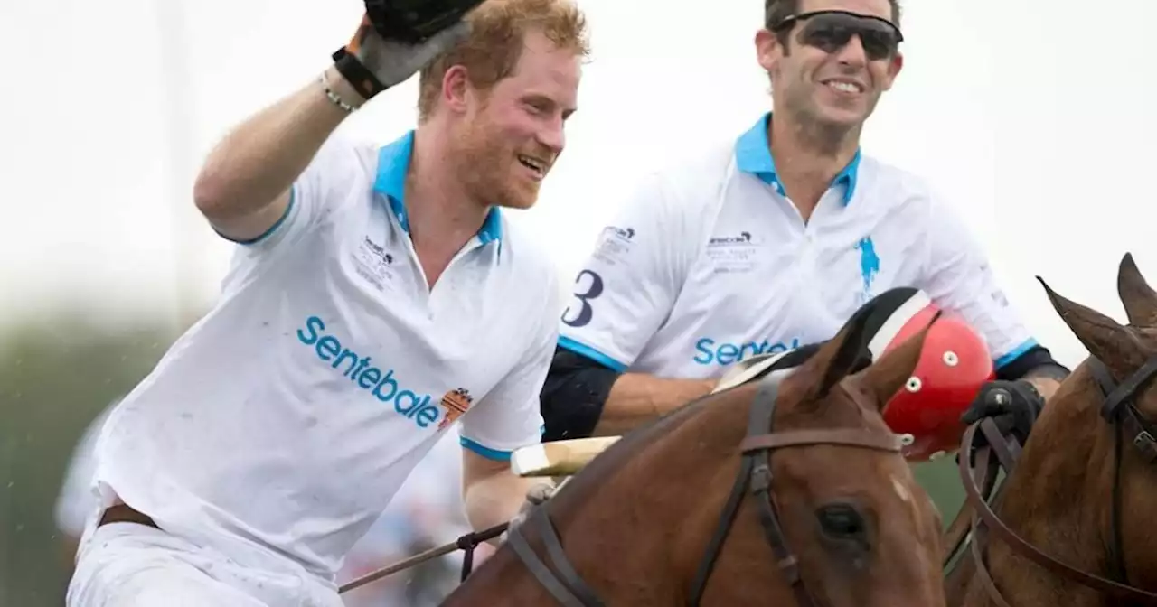 Prinz Harry: Versäumt er das Thronjubiläum der Queen wegen Polo-Turnier?